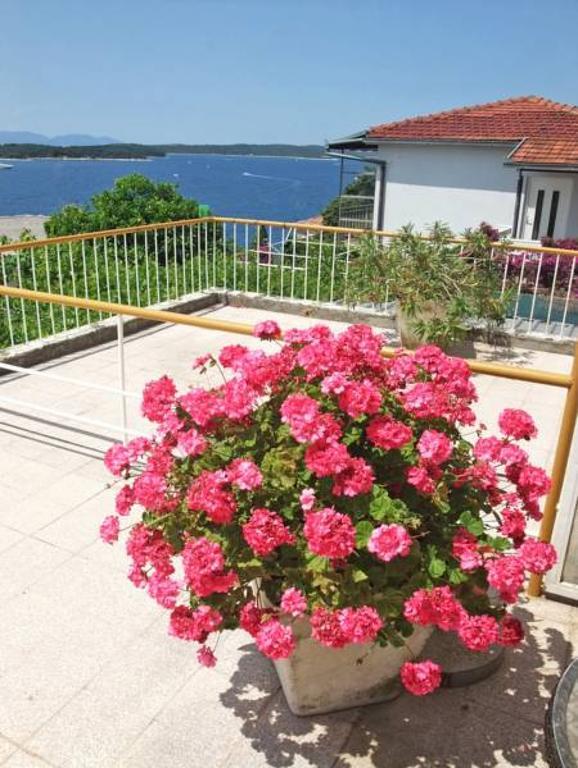 Rooms Vinka Tudor Χβαρ Εξωτερικό φωτογραφία